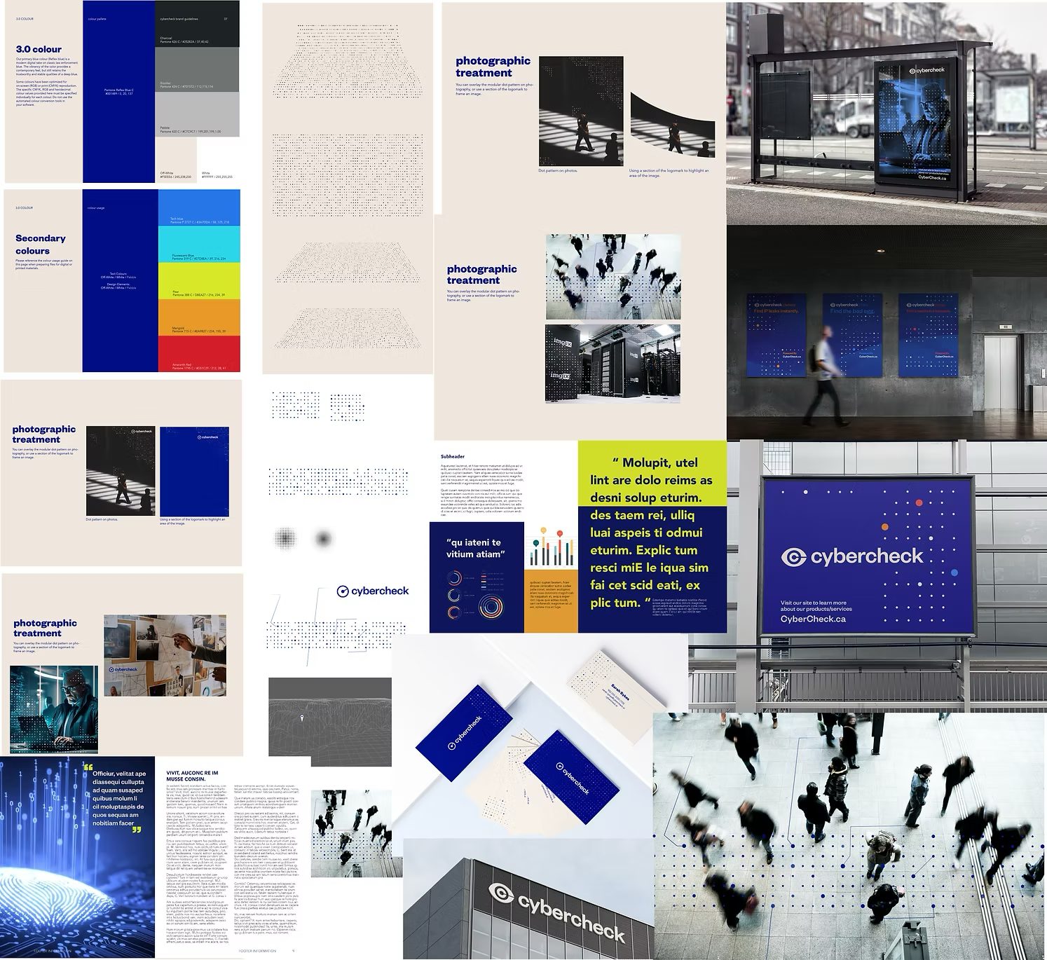 Cybercheck brand identity showcasing clean, professional design elements conveying trust and cybersecurity expertise.