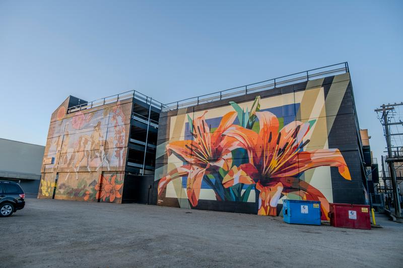 Vertical angle showing colour transitions through the geometric lily